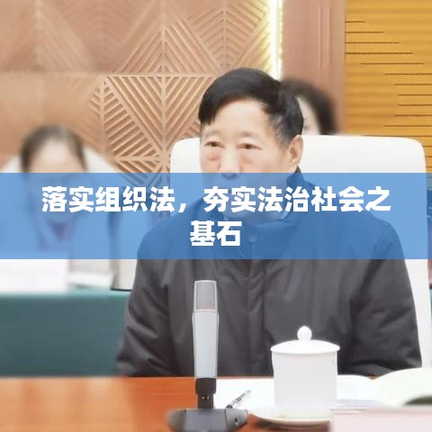 落实组织法,夯实法治社会之基石