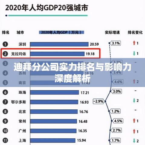 迪拜分公司实力排名与影响力深度解析