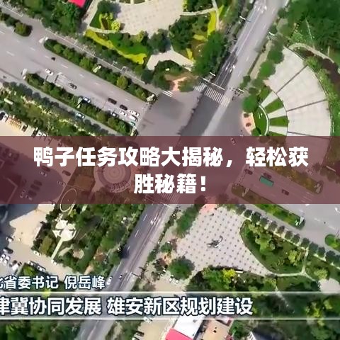 鸭子任务攻略大揭秘，轻松获胜秘籍！