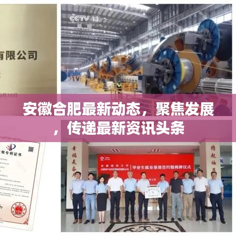 安徽合肥最新动态，聚焦发展，传递最新资讯头条