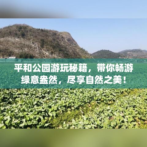 平和公园游玩秘籍，带你畅游绿意盎然，尽享自然之美！