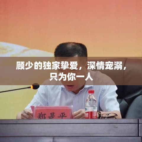 顾少的独家挚爱，深情宠溺，只为你一人