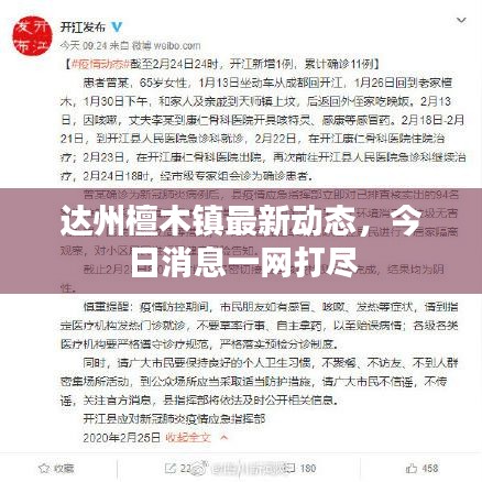 达州檀木镇最新动态，今日消息一网打尽