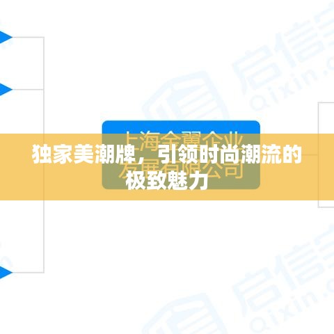 独家美潮牌，引领时尚潮流的极致魅力