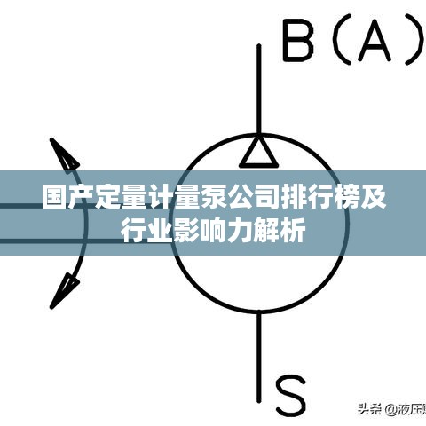 国产定量计量泵公司排行榜及行业影响力解析