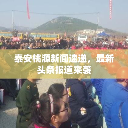 泰安桃源新闻速递，最新头条报道来袭