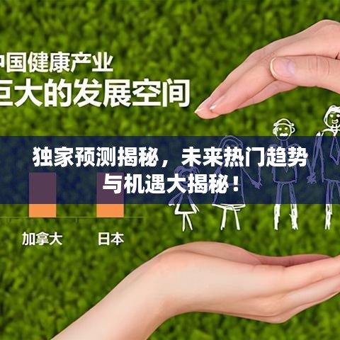 独家预测揭秘，未来热门趋势与机遇大揭秘！