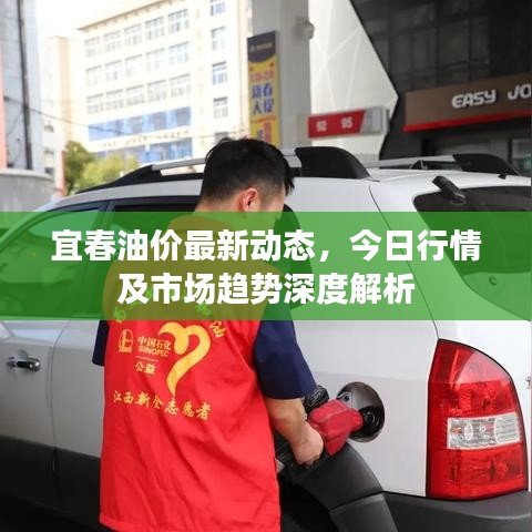 宜春油价最新动态，今日行情及市场趋势深度解析