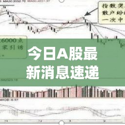 今日A股最新消息速递,股市动态一网打尽