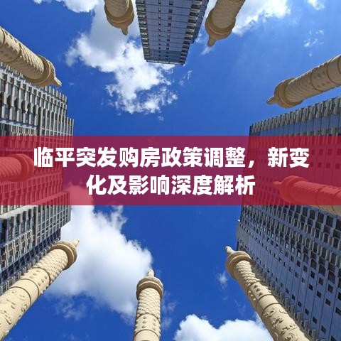 临平突发购房政策调整，新变化及影响深度解析
