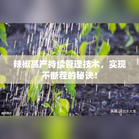 辣椒高产持续管理技术，实现不断茬的秘诀！