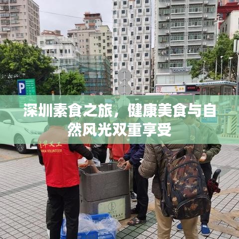 深圳素食之旅，健康美食与自然风光双重享受