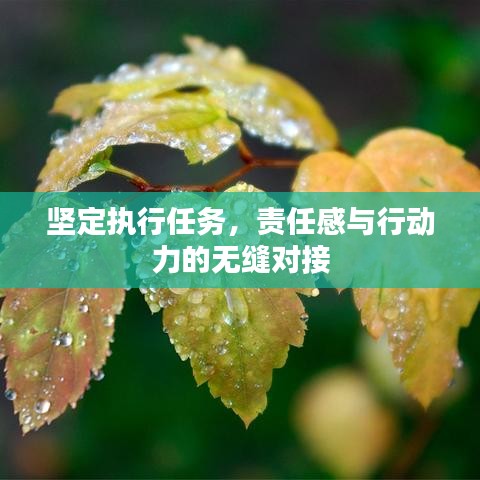 坚定执行任务，责任感与行动力的无缝对接