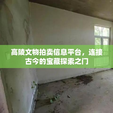 高陵文物拍卖信息平台，连接古今的宝藏探索之门