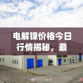 电解镍价格今日行情揭秘，最新市场动态一网打尽！