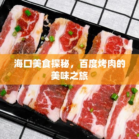 海口美食探秘，百度烤肉的美味之旅