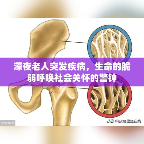 深夜老人突发疾病，生命的脆弱呼唤社会关怀的警钟