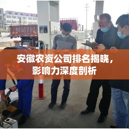 安徽农资公司排名揭晓，影响力深度剖析