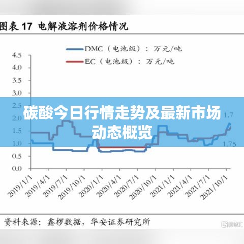 碳酸今日行情走势及最新市场动态概览
