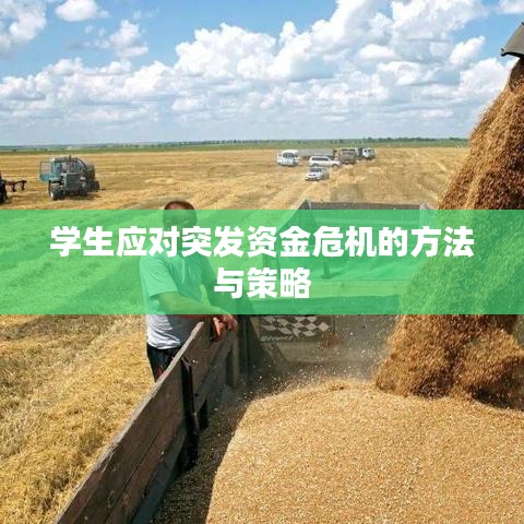 学生应对突发资金危机的方法与策略