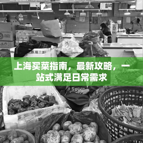 鸷鸟不群 第6页