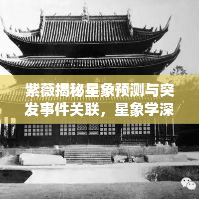 紫薇揭秘星象预测与突发事件关联,星象学深度解读现实事件