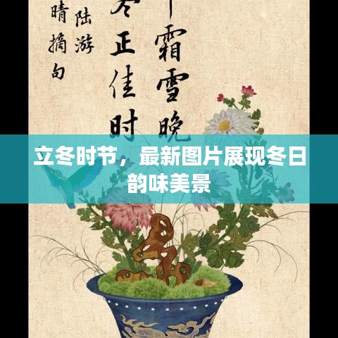 立冬时节，最新图片展现冬日韵味美景