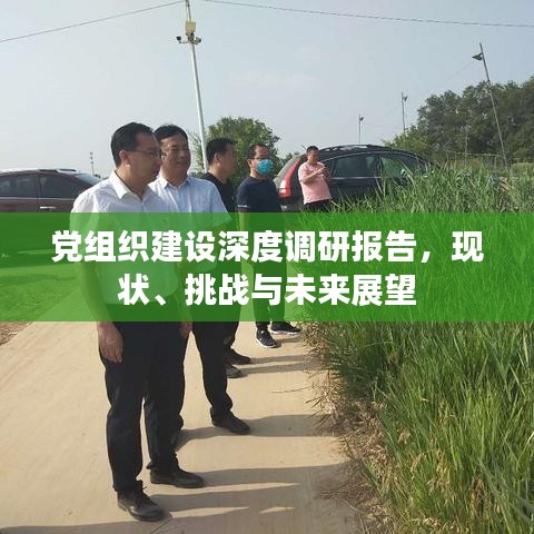 党组织建设深度调研报告,现状、挑战与未来展望