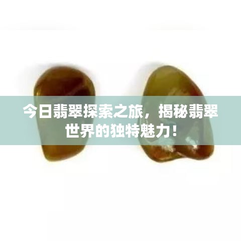 今日翡翠探索之旅，揭秘翡翠世界的独特魅力！