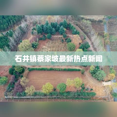 石井镇蔡家坡最新热点新闻