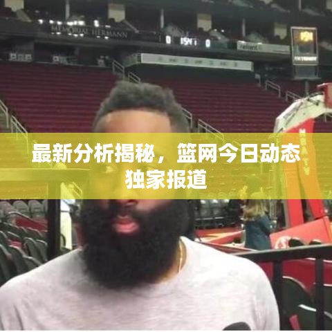 最新分析揭秘，篮网今日动态独家报道