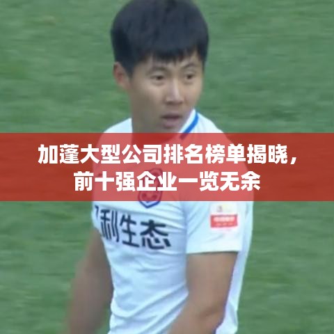 加蓬大型公司排名榜单揭晓，前十强企业一览无余