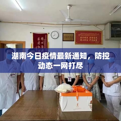 湖南今日疫情最新通知，防控动态一网打尽