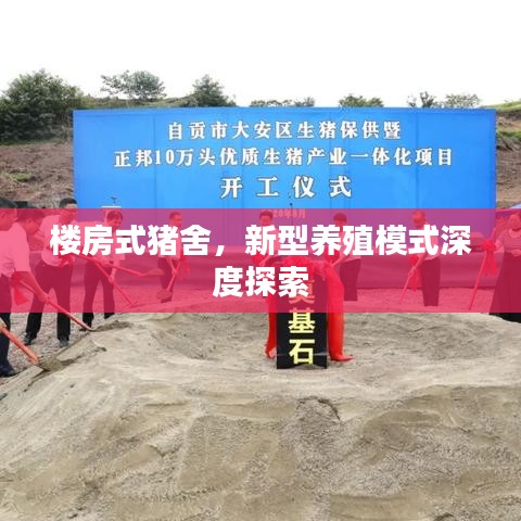 楼房式猪舍，新型养殖模式深度探索