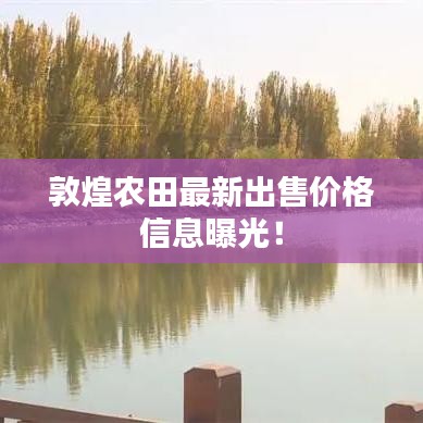 敦煌农田最新出售价格信息曝光！