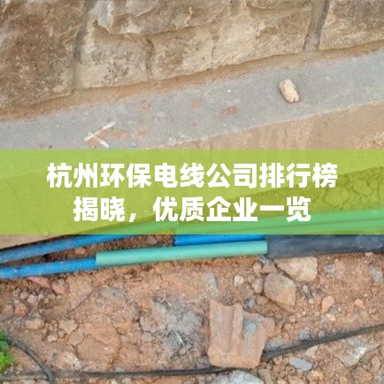 龙飞九五 第5页