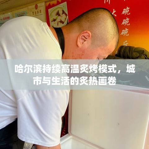 哈尔滨持续高温炙烤模式,城市与生活的炙热画卷