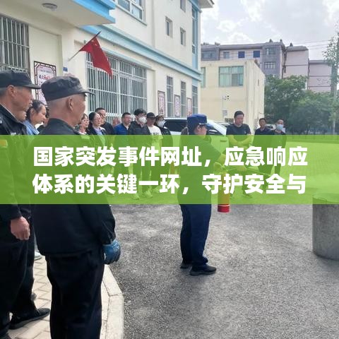 国家突发事件网址，应急响应体系的关键一环，守护安全与稳定！