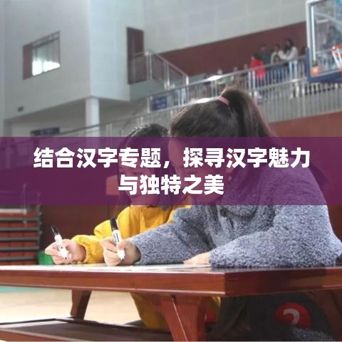 结合汉字专题，探寻汉字魅力与独特之美