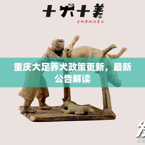 重庆大足养犬政策更新，最新公告解读