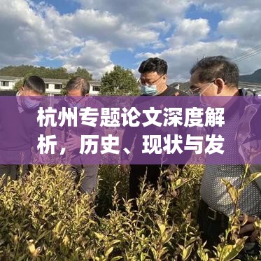 杭州专题论文深度解析，历史、现状与发展战略