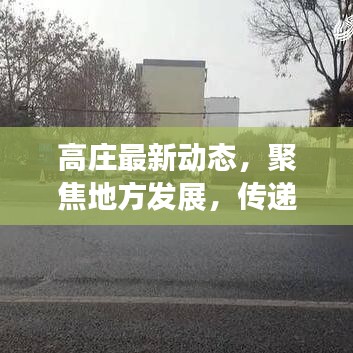 高庄最新动态，聚焦地方发展，传递最新新闻头条