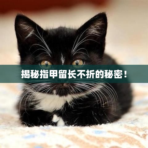 揭秘指甲留长不折的秘密！