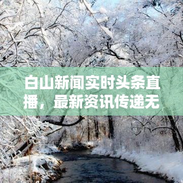 白山新闻实时头条直播，最新资讯传递无延迟