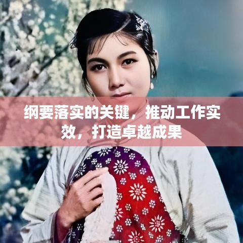 纲要落实的关键，推动工作实效，打造卓越成果