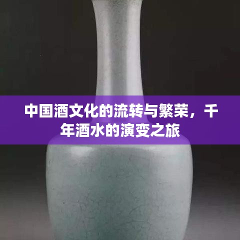 中国酒文化的流转与繁荣，千年酒水的演变之旅