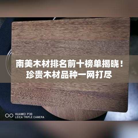 南美木材排名前十榜单揭晓！珍贵木材品种一网打尽