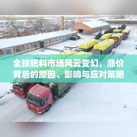 全球肥料市场风云变幻，涨价背后的原因、影响与应对策略解析