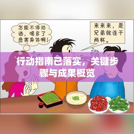 行动指南已落实,关键步骤与成果概览
