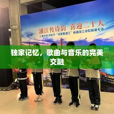 独家记忆，歌曲与音乐的完美交融